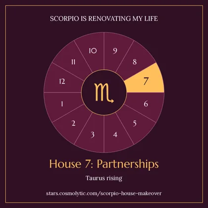 Taurus-rising house badge: Scorpio in house 7, partnerships, with one amber segment on a wine background